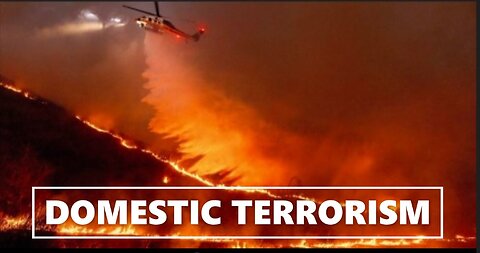 LA Fires Are Acts of Domestic Terrorism to Force People into 'Smart Cities'