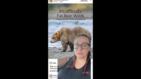 The bears brought it #bears #cute #nationalparks #nationalpark #funny #2025