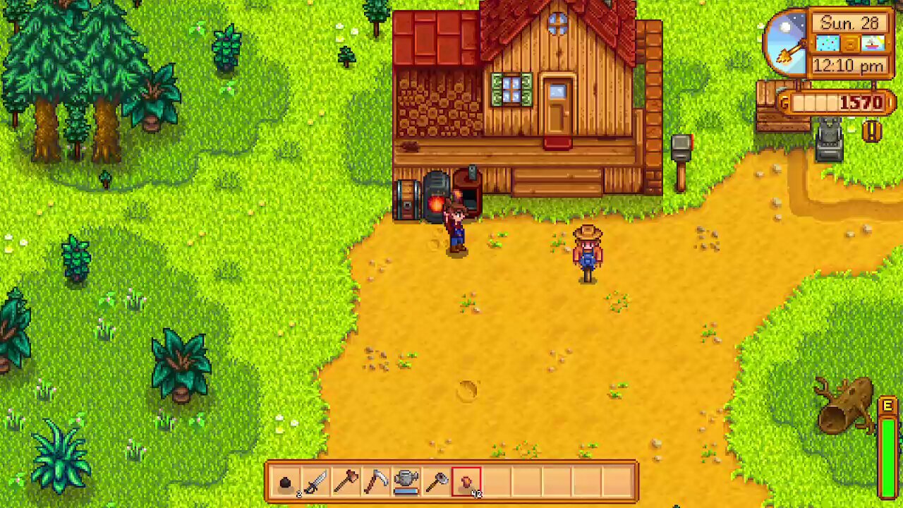 stardew valley