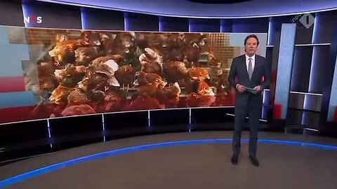 Netherlands - Chickens get injected with possibly (MRNA) vaccines Now MRNA eggs