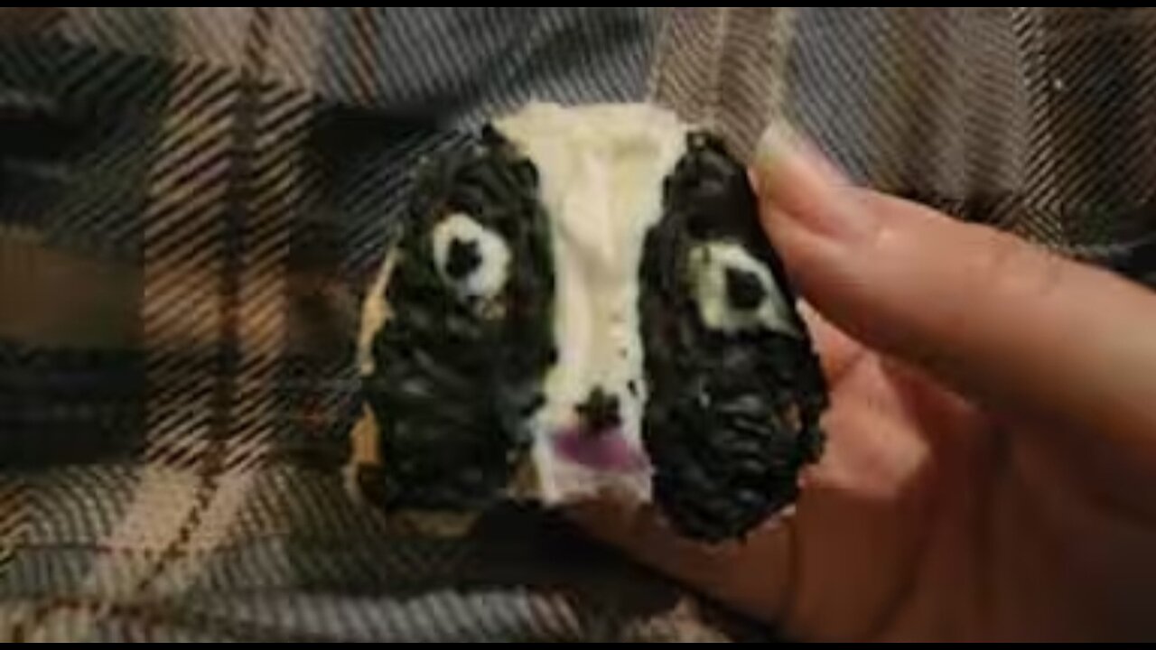 Hermyjack Christmas treats.