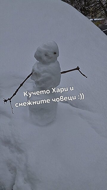 Кучето Хари и снежните човеци :)) Harry the dog and the snowmen