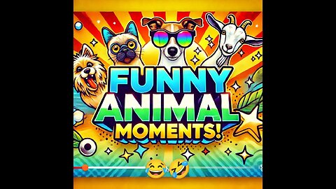 BEST OF THE 2025 FUNNY 😻🐶 ANIMAL VIDEOS