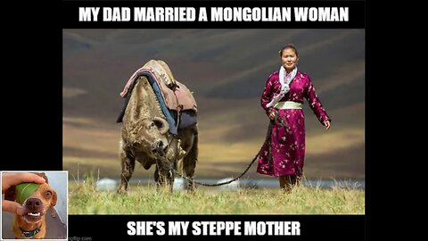 Memes That Will 99.0576% Make You Laugh. (e800)