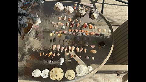 Beach Finds 12/5/2025 | 4K