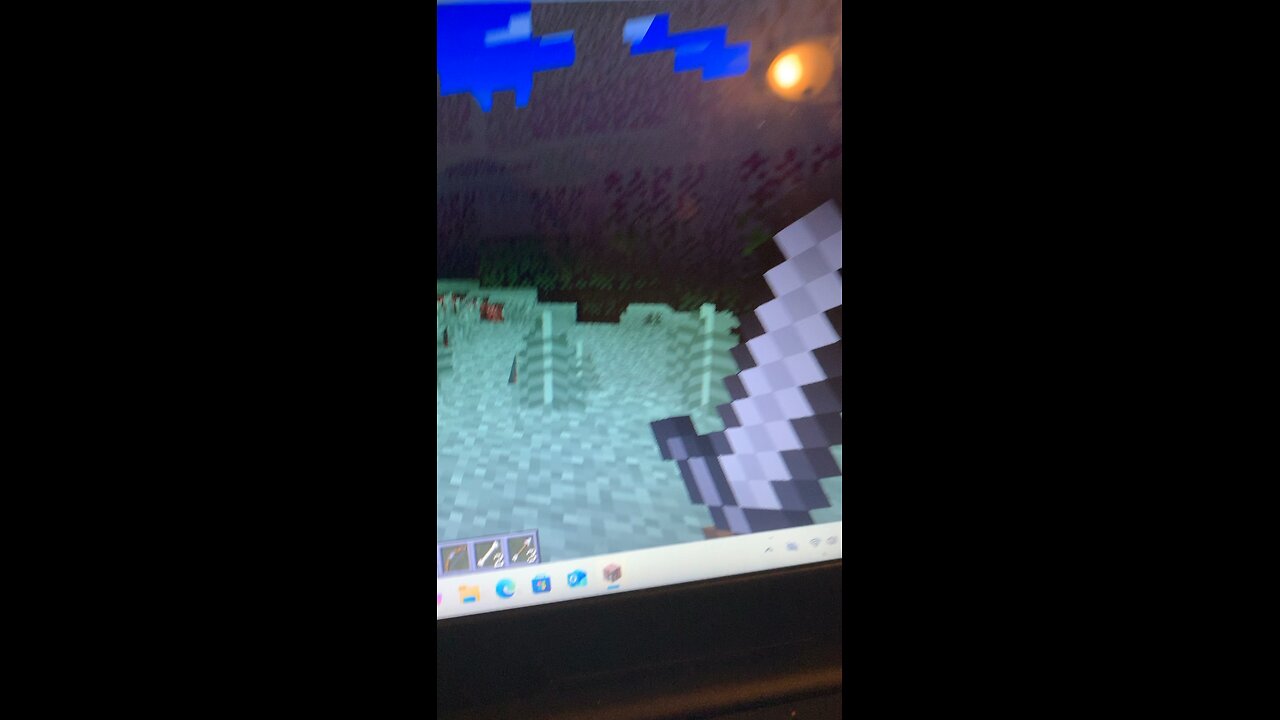 Playing Minecraft