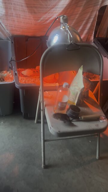 Roger always causing trouble