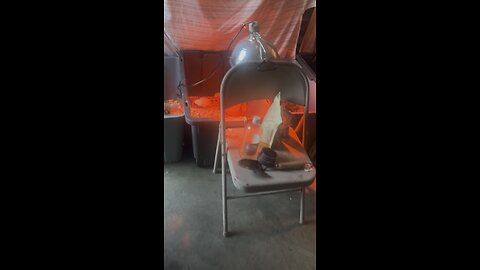 Roger always causing trouble