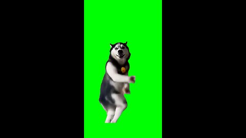 Viral Dance 💃 dog 🐶 🐕