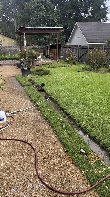 Rain won’t stop our play