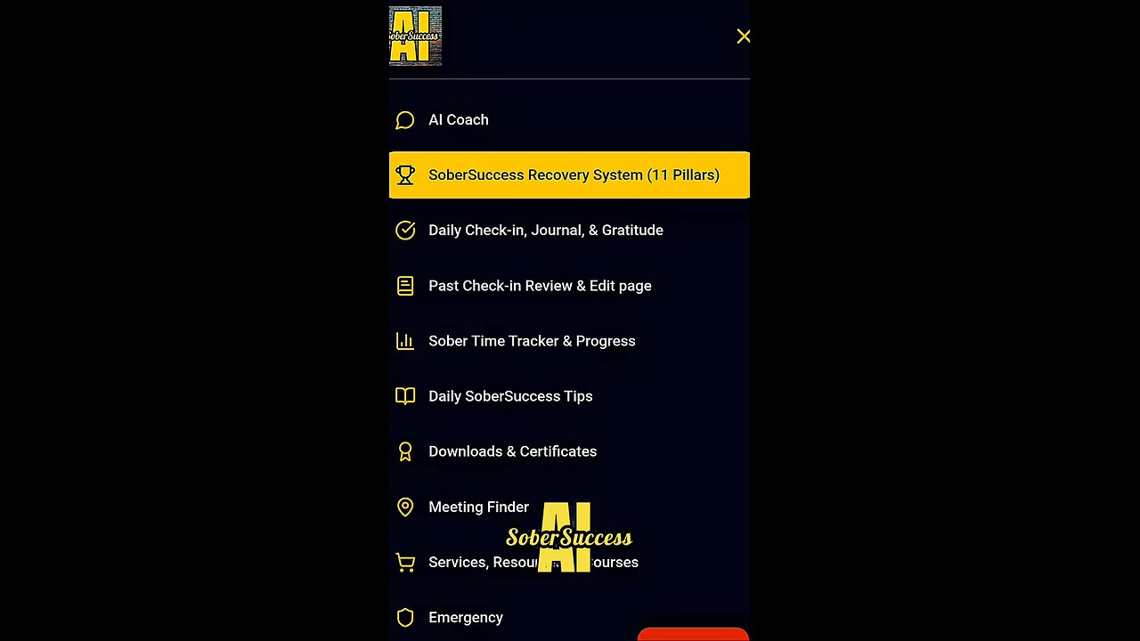 The SoberSuccess Recovery & Mindset 11 Pillar Program... #Mindset #RecoveryProgram #Addiction