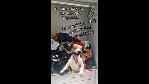 Organização