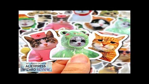 10/50/100pcs Funny Cat Stickers Cartoon Cute Decals Toy Stationery Guitar Phone Bicycle Review