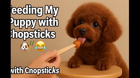 Feeding My Puppy with Chopsticks… His Reaction 😂🐶