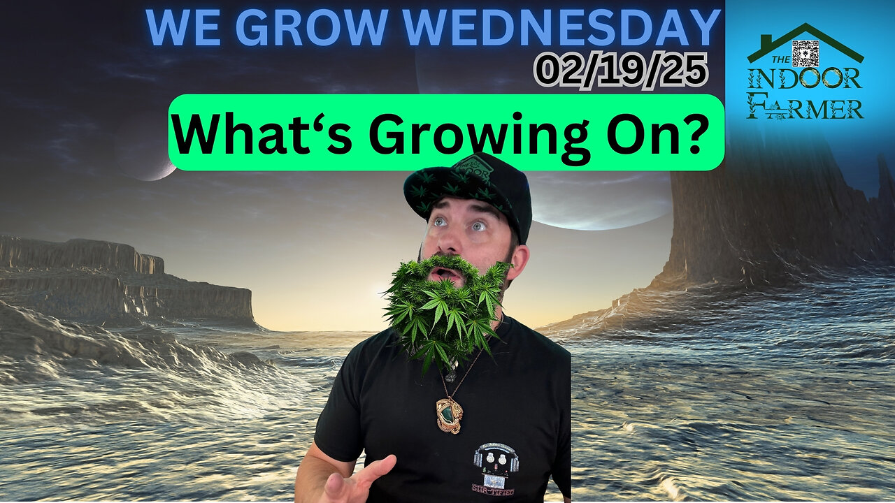 We Grow Wednesday 2/19/25, What Is The First Thing You Will Do In Your Outside Space?