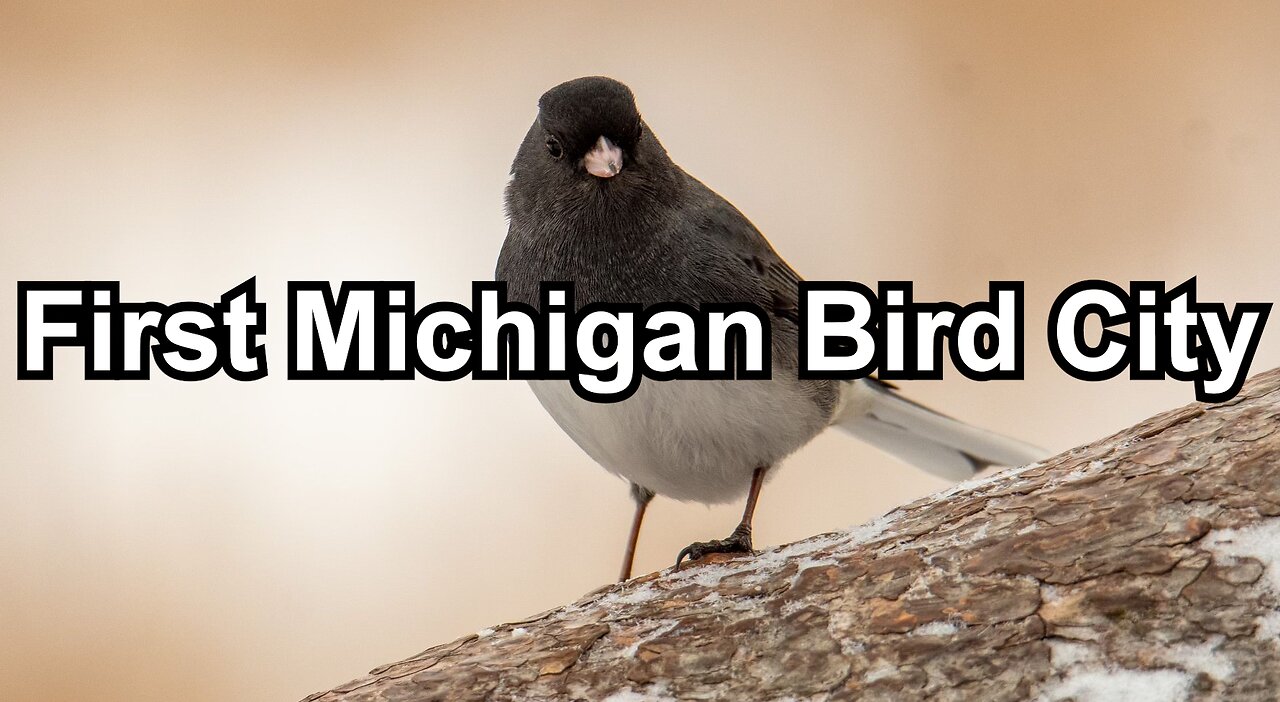 First Michigan Bird City