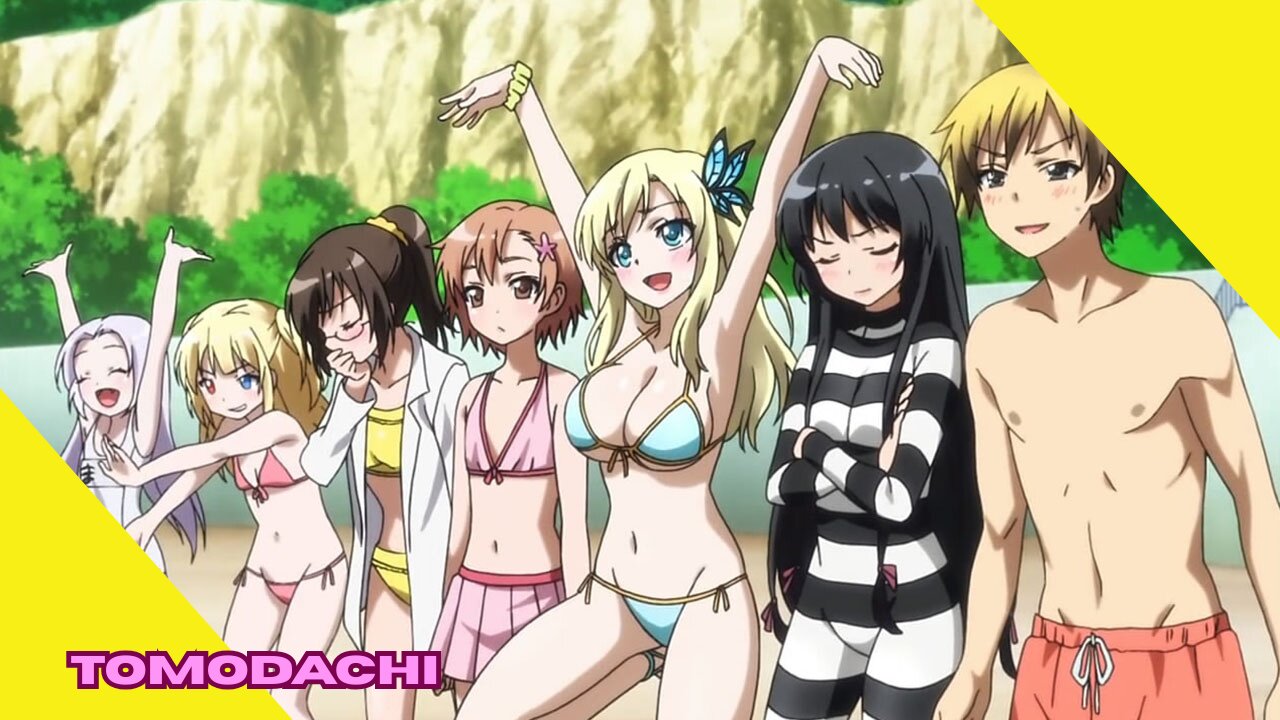 Discover the full conclusion of Boku wa Tomodachi ga Sukunai (Haganai) as told in the light novels!