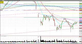 Cattle All Tariff No Hat, Back month