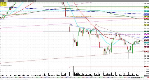 Cattle All Tariff No Hat, Back month