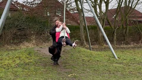funny videos