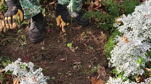 Illustrating resetting a Flower Bed into a Venue