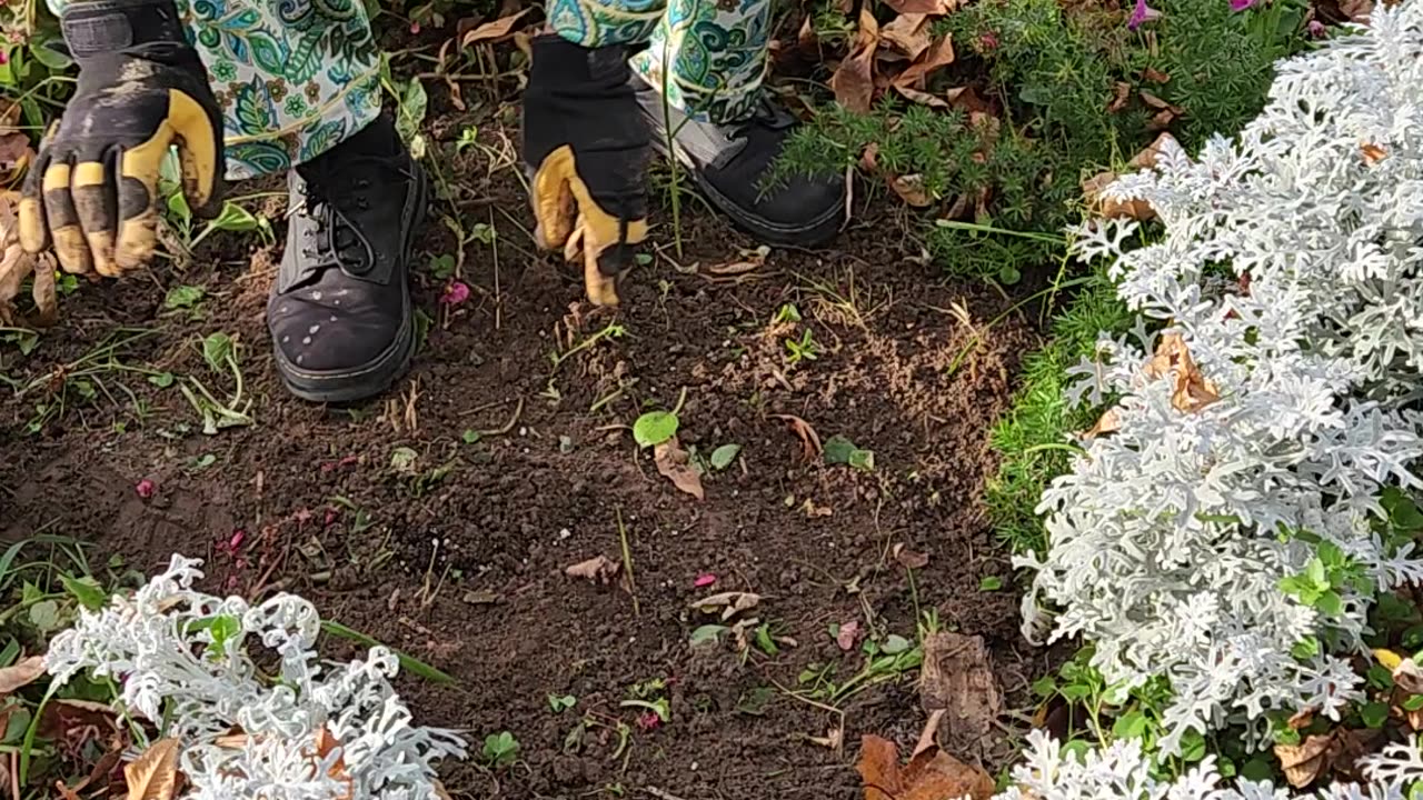 Illustrating resetting a Flower Bed into a Venue