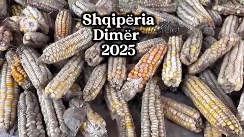 Balliu: Dy ditë shi, përmbytemi. Në verë, marrim flakë. Nuk ka faj moti