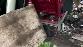 Homeless Camp