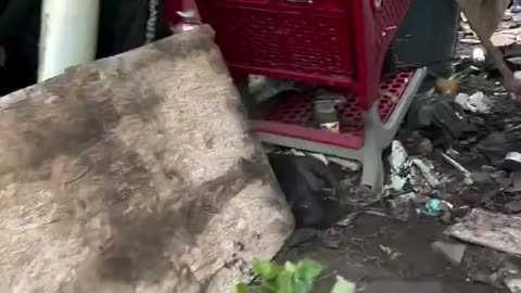 Homeless Camp