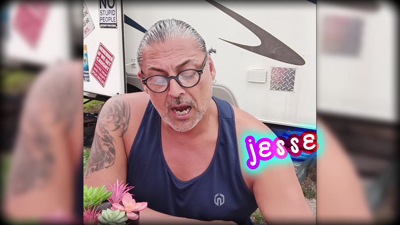 Narcissist Chronicles