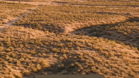 Unlock Grandma’s Secret Canning Recipes—Taste Tradition Today!