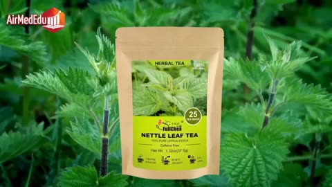Nettle Tea and Its Pharmacological Action on Specific Organs