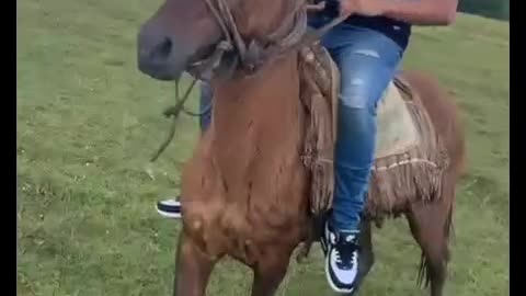 VIDEO: Guindo en el Caballo