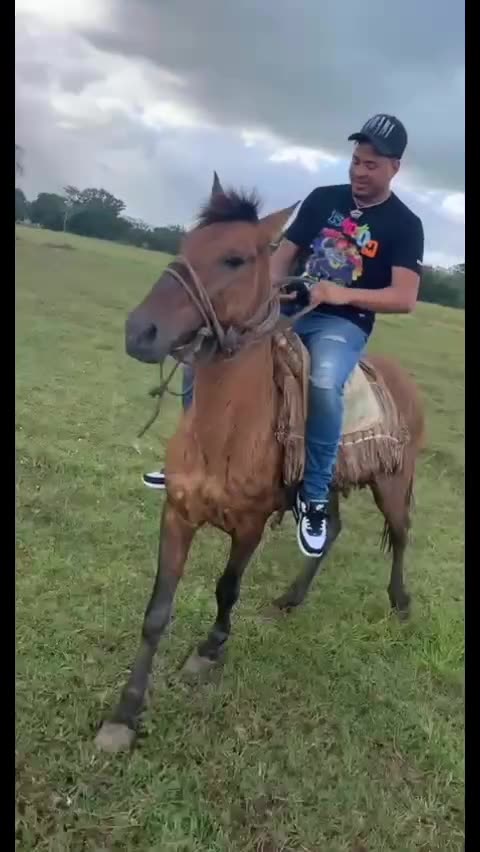 VIDEO: Guindo en el Caballo