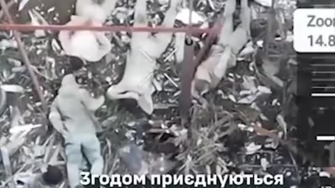🪂💥 Ukraine Russia War | Ukrainian Paratroopers Liberate Sukhetske | RCF