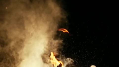 Daily Horoscope | Aries 🌟