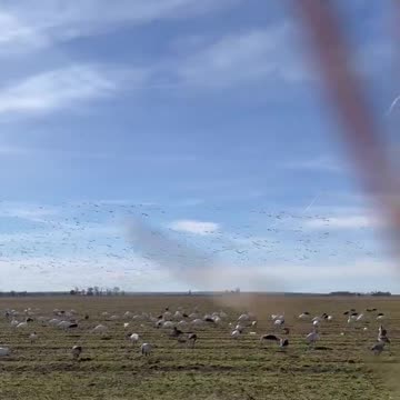 Onlybands Guide Service