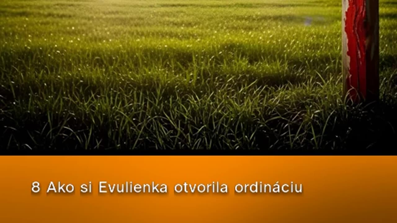 Ako si Evulienka otvorila ordináciu