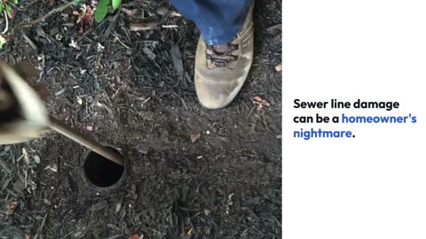 Trenchless Sewer Repair Explained : The Modern Solution for Pipe Damage