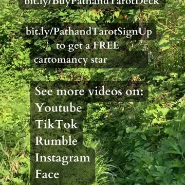 The Value Of Relationships | Path and Tarot Reading