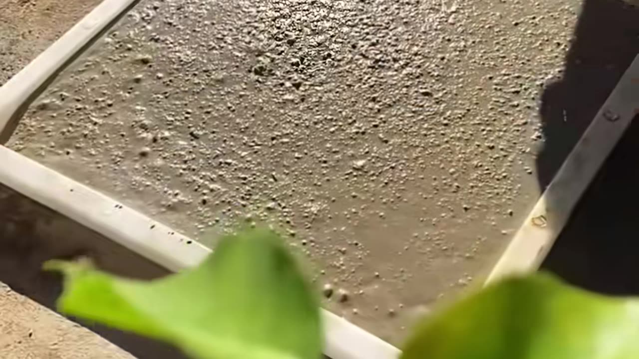 💡👀 The Quickest Way to Organize Your Space! | LifeHacksDaily