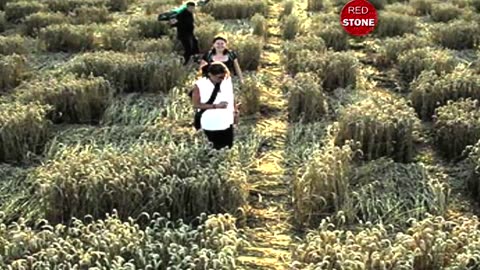 This Crop Circle Holds a TERRIFYING Message - This Changes Everything