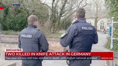 Afghani refugee just kiIIed a 2 year old and 41 year old in an Aschaffenburg, Germany park.