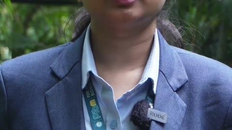 PIBM: Shaping Data-Driven Business Analysts | Deloitte | MBA & PGDM Placements