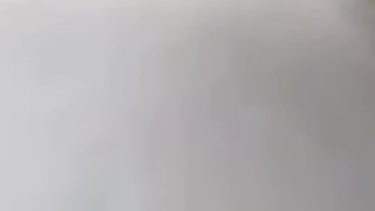 funny animal