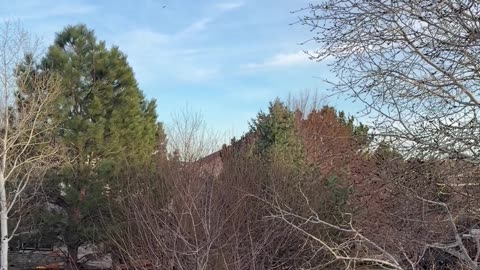 a very nice day outside