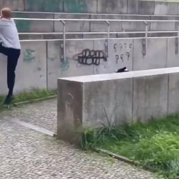 Dog challenges man at parkour