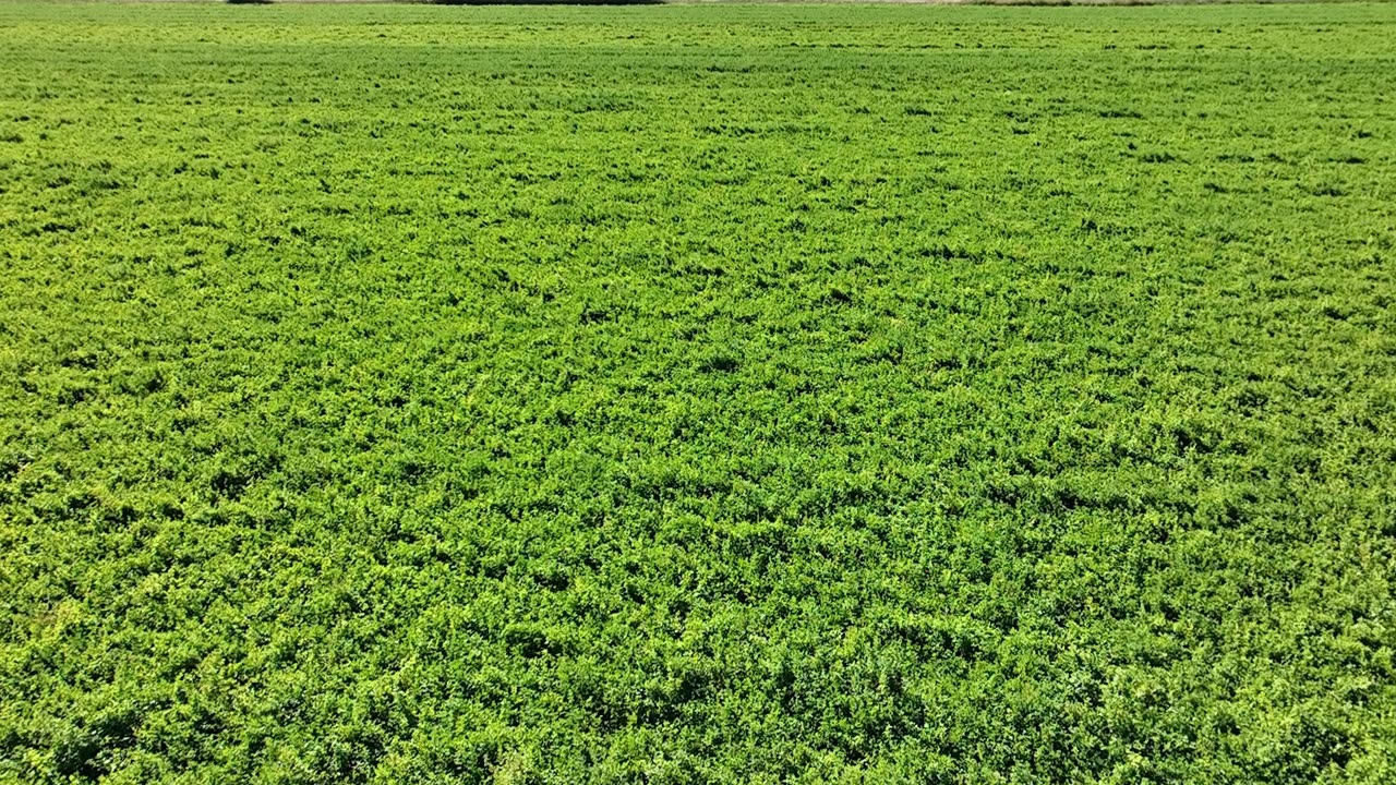Mick Field - Low level flight around field RGB