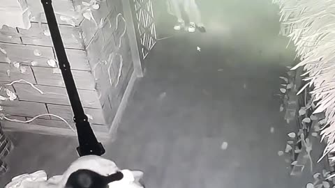 密室逃脱鬼屋爆笑名场面，果然还是看别人玩有意思！ #密室逃脱 #监控下的一幕 #搞笑 #鬼屋 #专治不开心