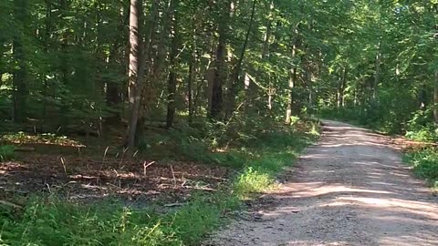 Biological determinism vs. cultural determinism - environmental circumstances and epigenetics